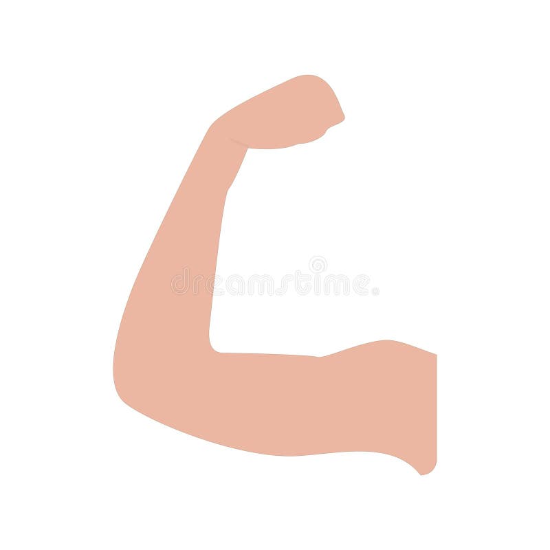 Human Hand-arm. Vector Illustration on White Background Stock Vector ...