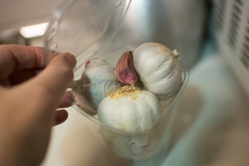 Human Hand Opening a Jar with Heads of Garlic Stock Photo Image of