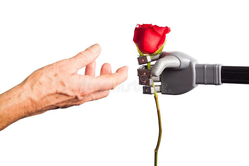 Human senior hand receiving rose from artificial hand. Black robots stock images, royalty-free photos and pictures