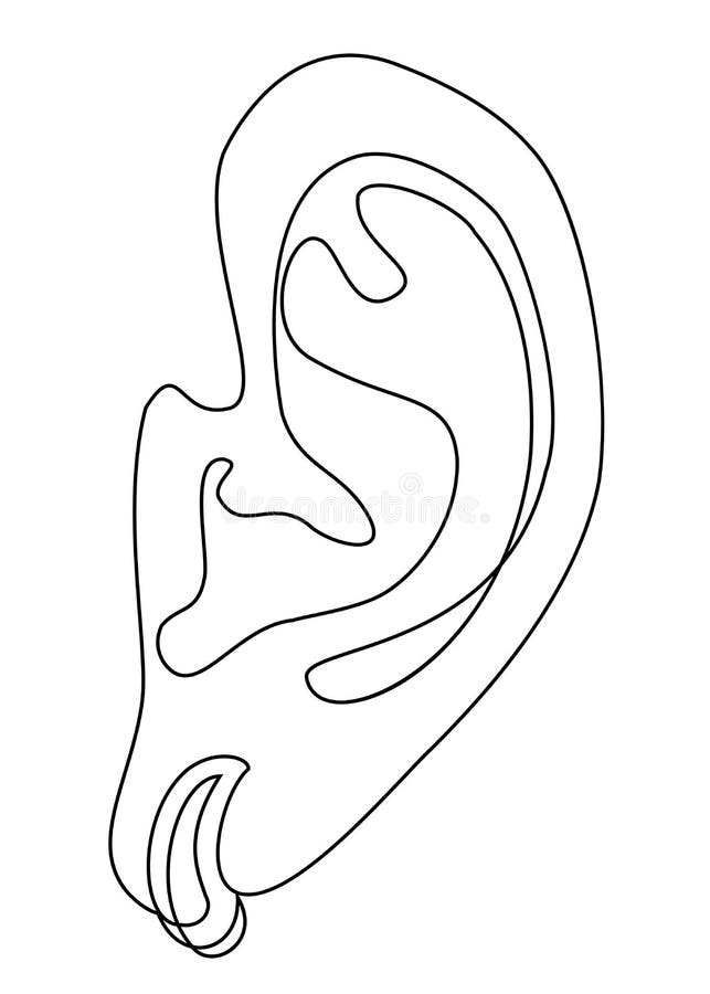 Human Ear Illustration Sticker