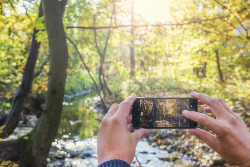 Human hands holding a smartphone and taking picture of beautiful autumn park stock photo Human hands holding a smartphone and taking picture of beautiful autumn park stock photo