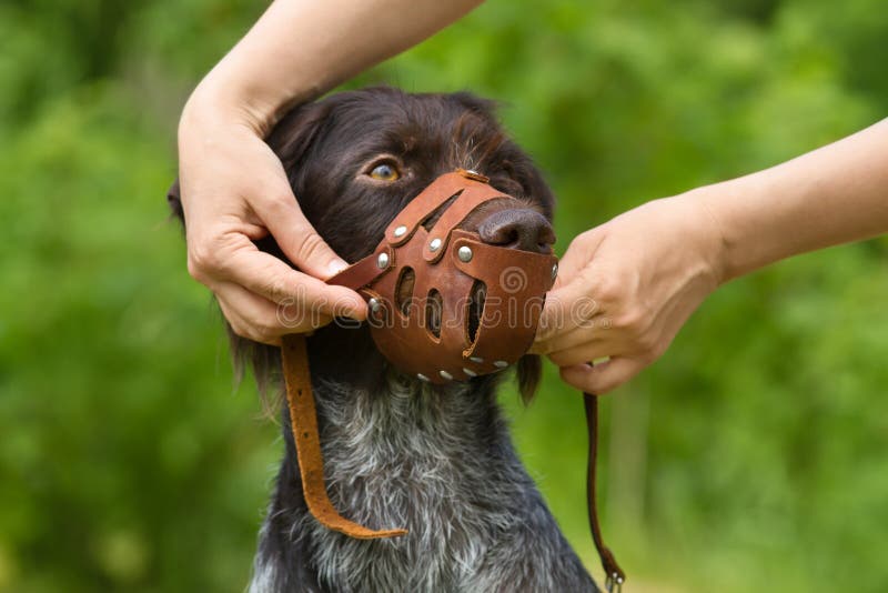 dog muzzle on human