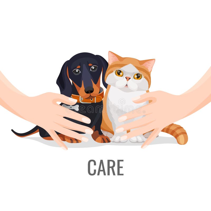 Care, cat, friend, happy, pet, petting, therapy icon - Download on  Iconfinder in 2023