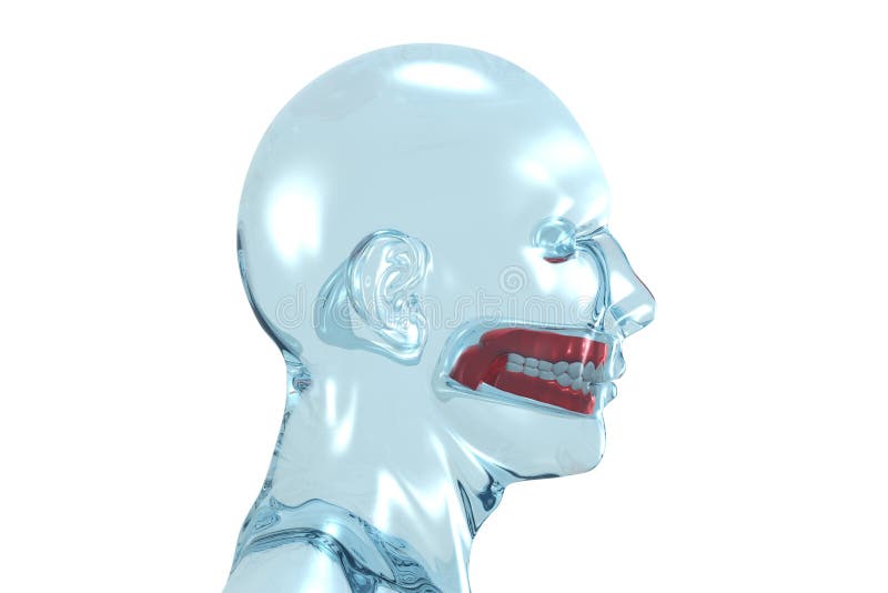 Human head with denture