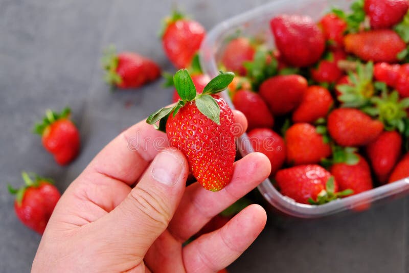 Human Health and Fresh Strawberries, Strawberry Fruit Source of