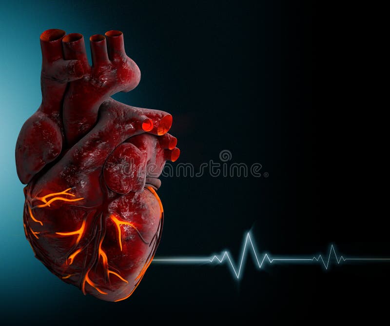Human Heart Stock Illustrations – 167,591 Human Heart Stock Illustrations, Vectors & Clipart - Dreamstime Human Heart Stock Illustrations – 167,591 Human Heart Stock Illustrations, Vectors & Clipart - Dreamstime