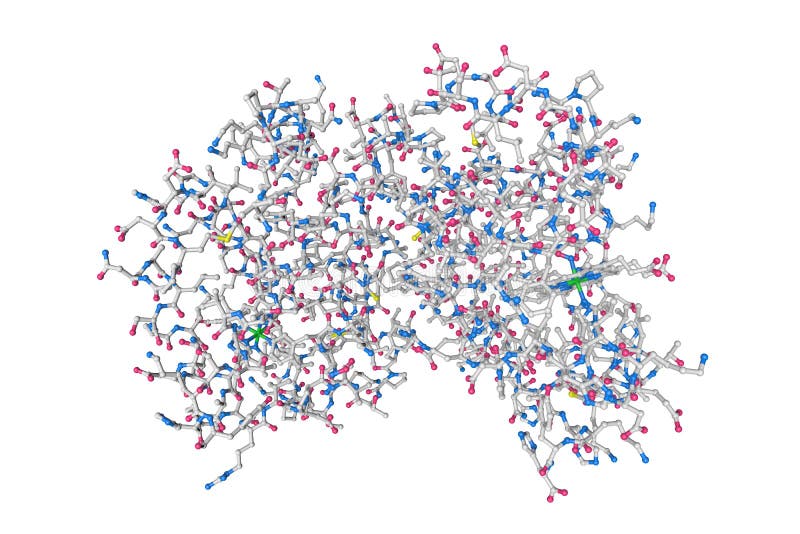 Human Hemoglobin Nitric Oxide Adduct. Molecular Model. Rendering Based
