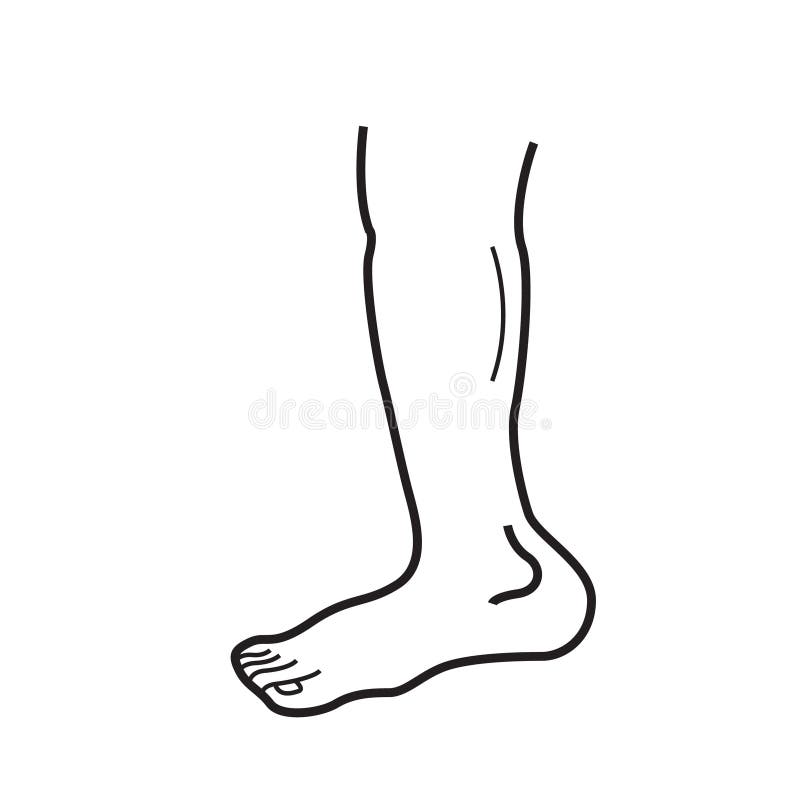 Human Leg. Vector Illustration Decorative Design Stock Vector -  Illustration of linear, minimal: 188971817