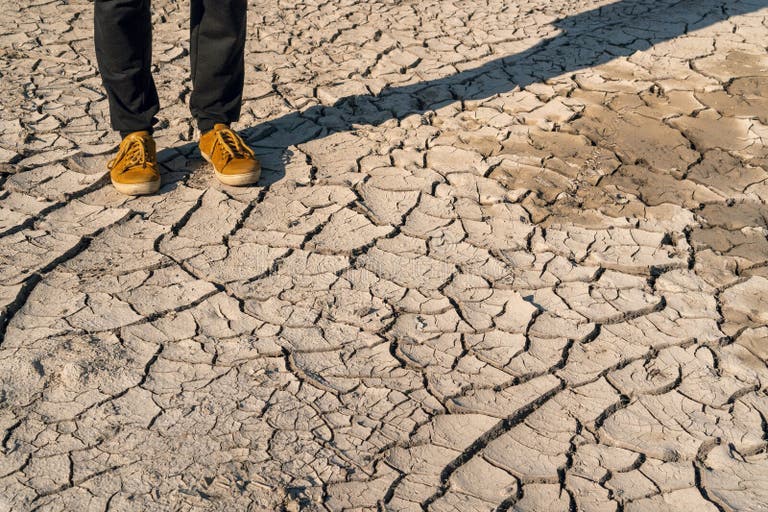 152 Soil Salinization Stock Photos - Free & Royalty-Free Stock Photos