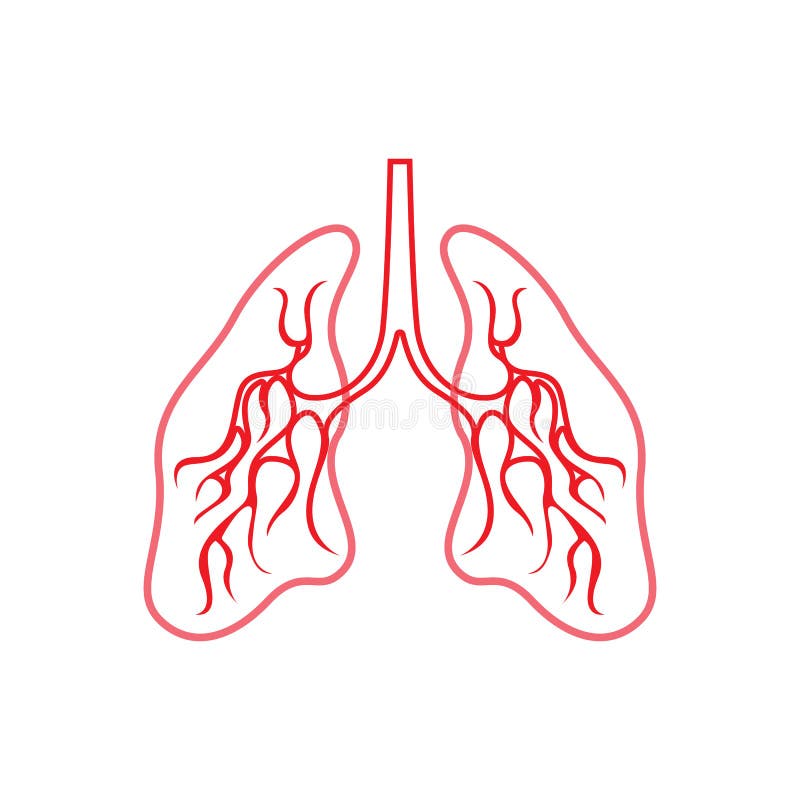 Human Lung Vector Image Template Icon Stock Vector Illustration Of