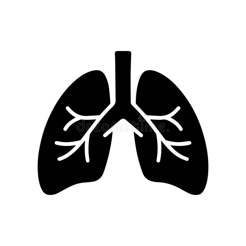 Human lungs icon vector isolated on white stock illustration
