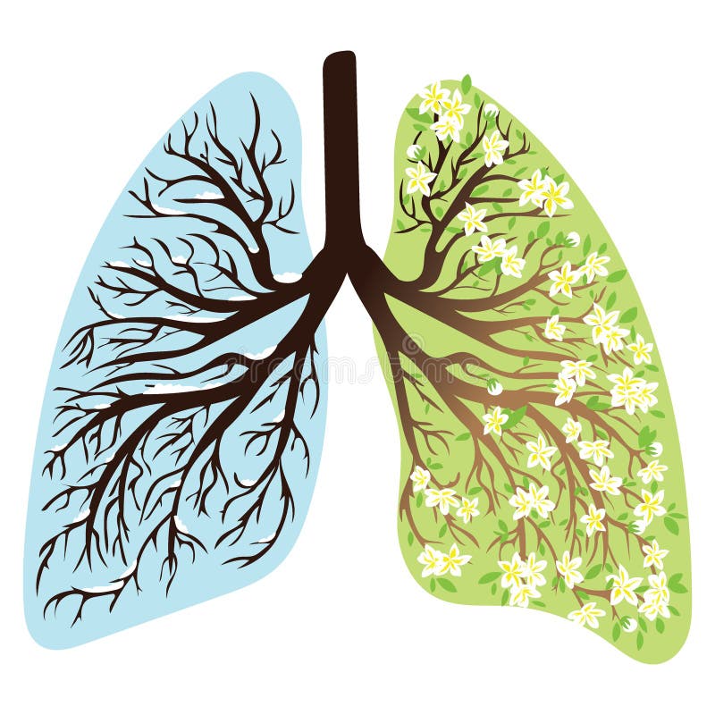 Human lungs. Respiratory system. Healthy lungs. Light in the form of a tree. Line art. Drawing by hand. Human lungs. Respiratory system. Healthy lungs. Light in the form of a tree. Line art. Drawing by hand.