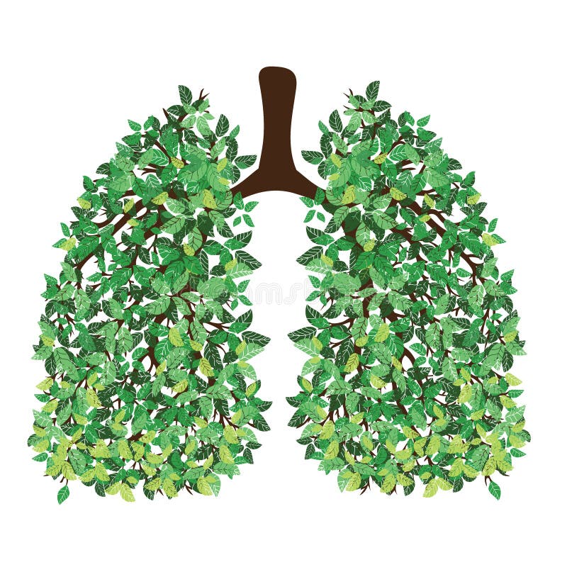 Human lungs. Respiratory system. Healthy lungs. Light in the form of a tree. Line art. Drawing by hand.