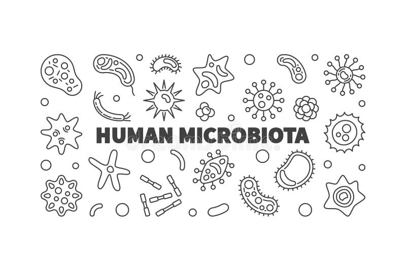 Human microbiota vector outline horizontal illustration