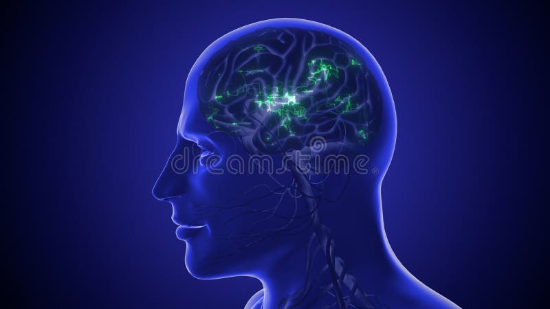 Human nerve network digital artificial intelligence 3D illustration royalty free illustration