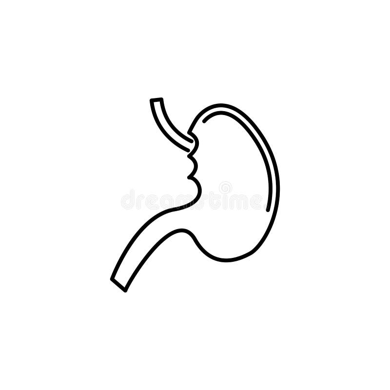 Human Organ Stomach Outline Icon. Signs and Symbols Can Be Used for Web ...