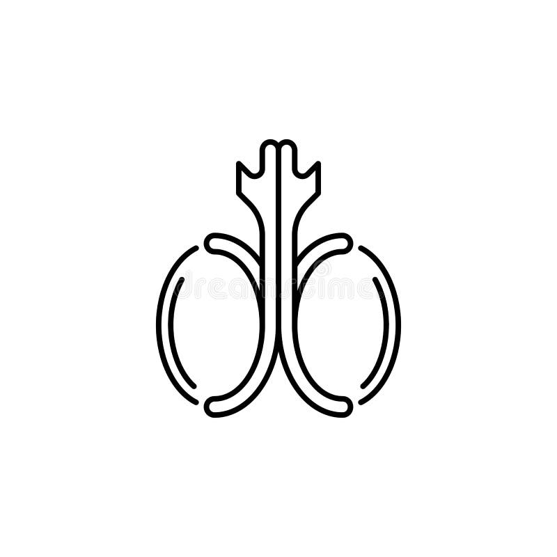 Human organ testicles outline icon. Signs and symbols can be used for web, logo, mobile app, UI, UX