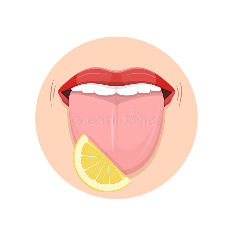 Tongue Taste Bud Chart