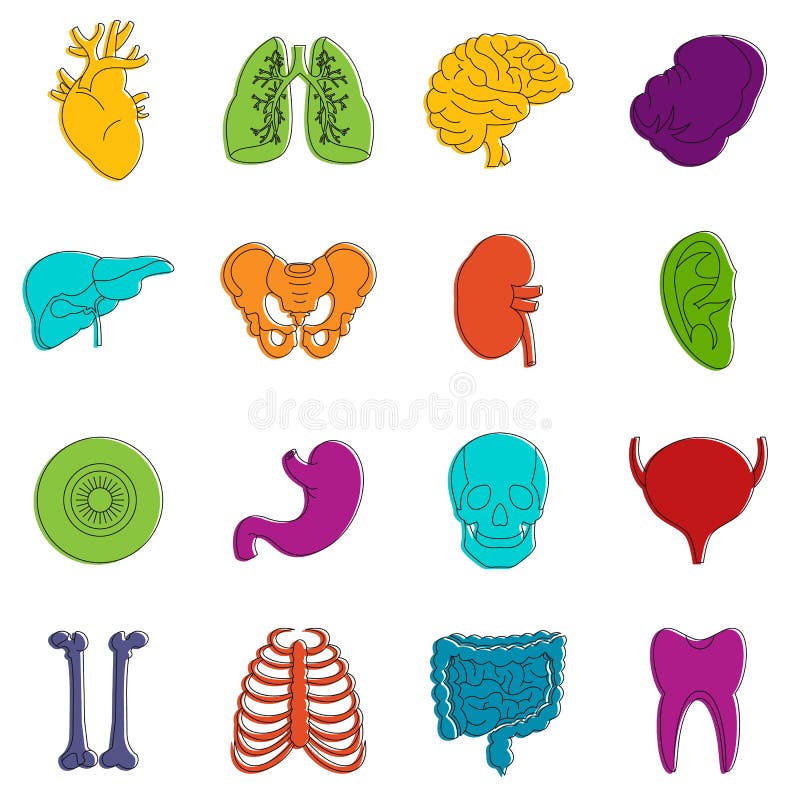 Organ Doodle Icons Stock Illustrations – 586 Organ Doodle Icons Stock ...