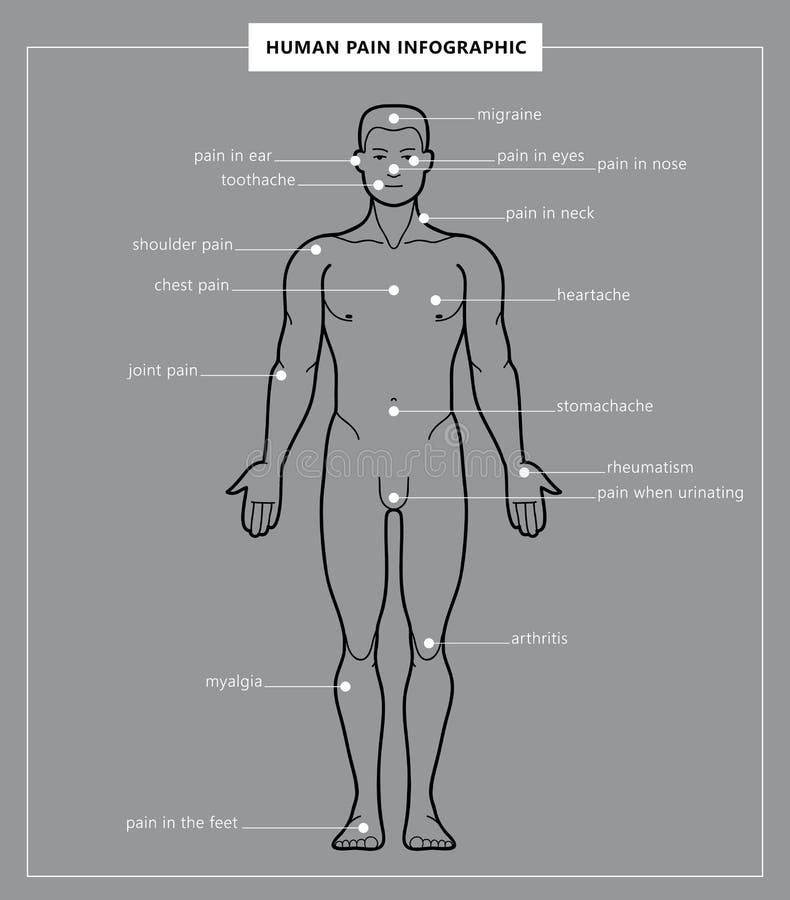 Анатомическая инфографика. Human Pain. Инфографика анатомия танцовщика. Человек во весь рост физиология мужчина инфографика. Basic human