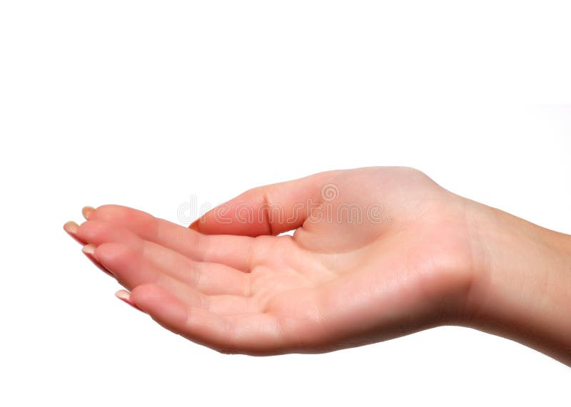 Human Palm Stock Image Image Of Hand Caucasian White 7705473