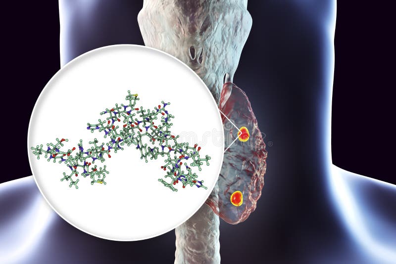 Human parathyroid hormone stock illustration. Illustration of atomic