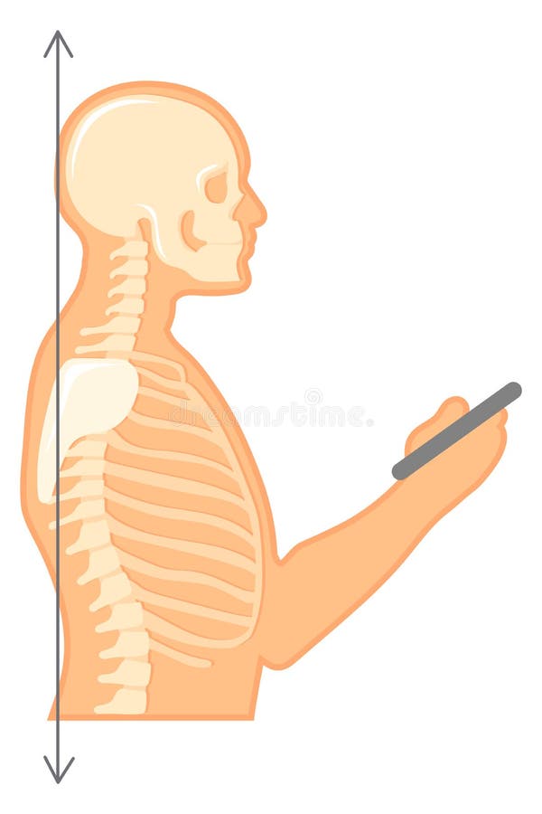 Straight neck smartphone neck, etc. - Stock Illustration [70813638] - PIXTA