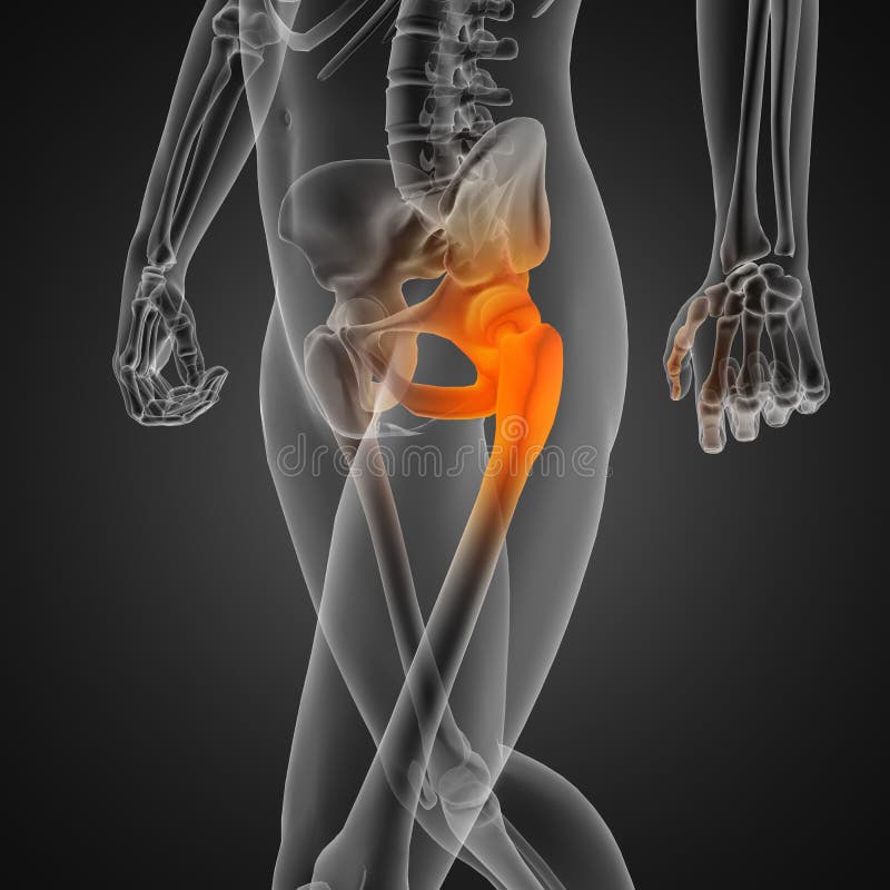 Hombre radiografía escanear hecho en  tridimensional.