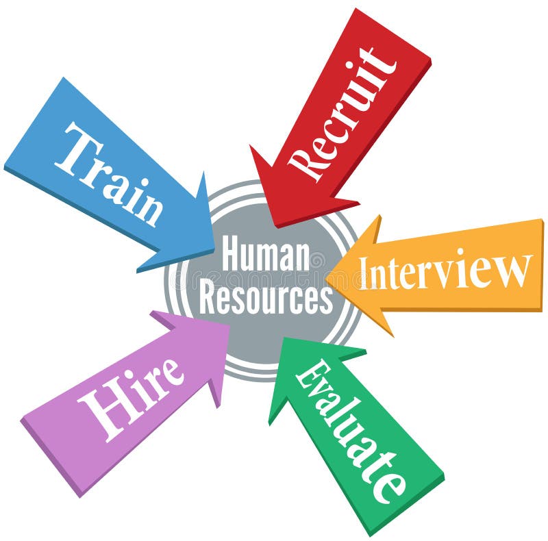 Human Resources Employee Hiring People Stock Vector 
