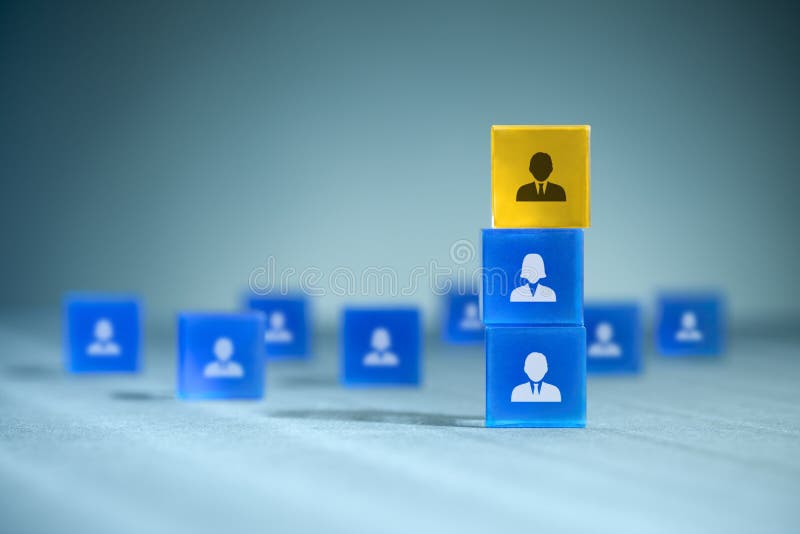Human resources team stock images