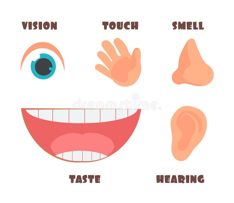 Human senses cartoon vector icons with eye, nose, ear, hand, and mouth symbols stock illustration Human senses cartoon vector icons with eye, nose, ear, hand, and mouth symbols stock illustration