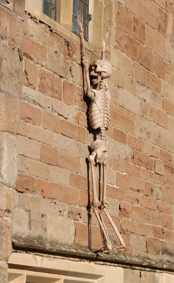 Skeleton Figure.