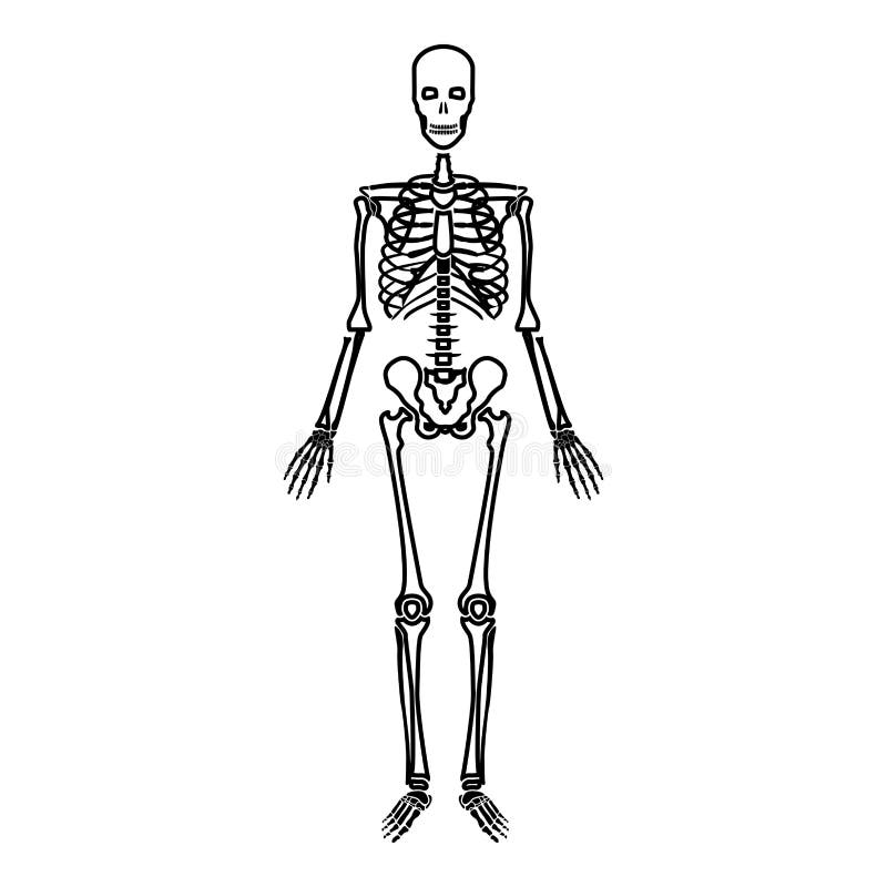 Human skeleton icon black color vector illustration flat style simple image...