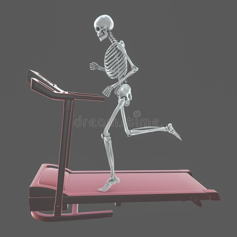Human Skeleton Running on Treadmill Showing Skeletal Activity during