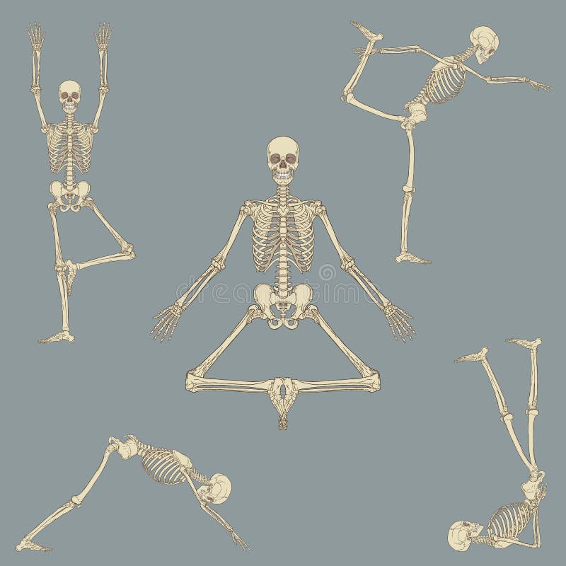 Skeletal Ballerina - pose 1 by msandie on DeviantArt