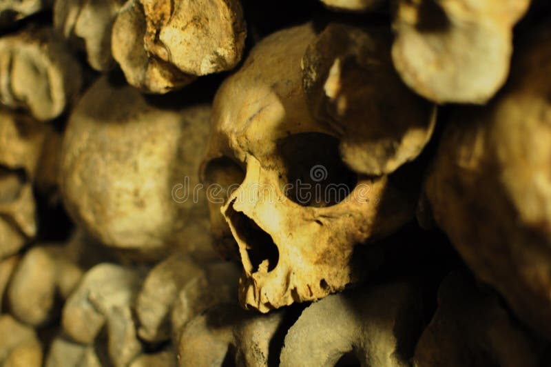 Human skulls in the catacombs of Paris, France royalty free stock images Human skulls in the catacombs of Paris, France royalty free stock images