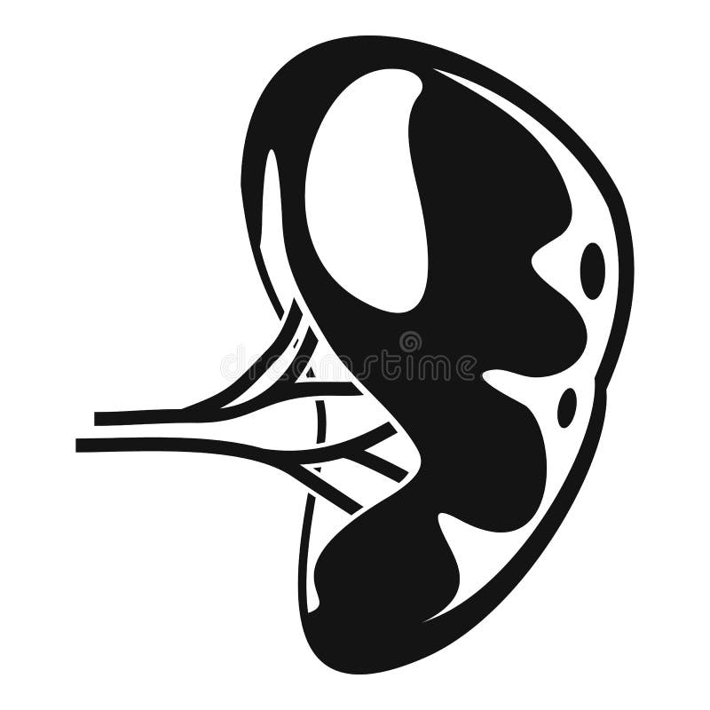 Human Spleen Icon, Simple Style Stock Illustration - Illustration of ...