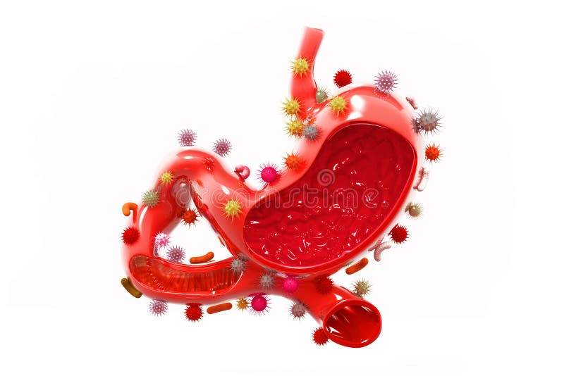 Human Stomach with Viruses and Bacteria Stock Illustration