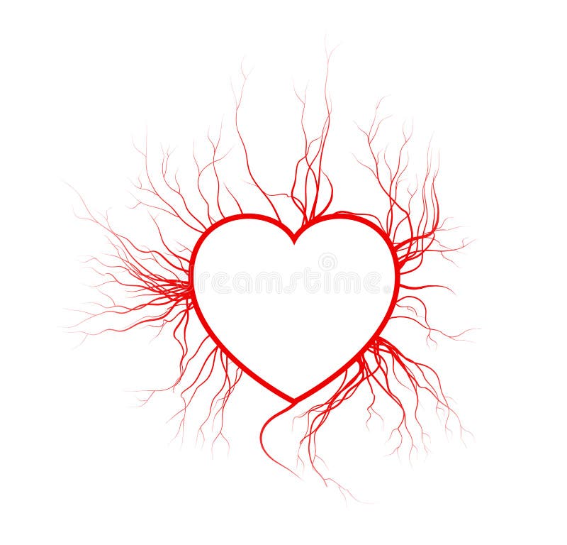 Human veins with heart, red love blood vessels valentine design. Vector illustration isolated on white background