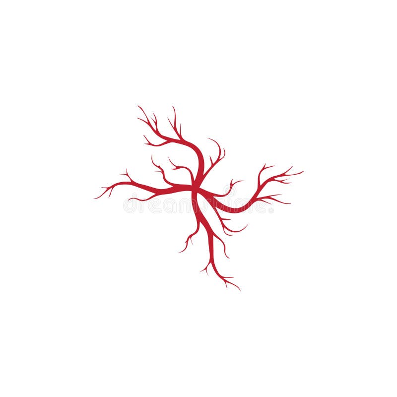 Human Veins, Red Blood Vessels Design and Arteries Vector Illustration ...