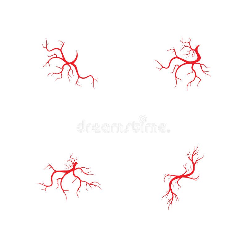 Human Veins, Red Blood Vessels Design and Arteries Vector Illustration ...