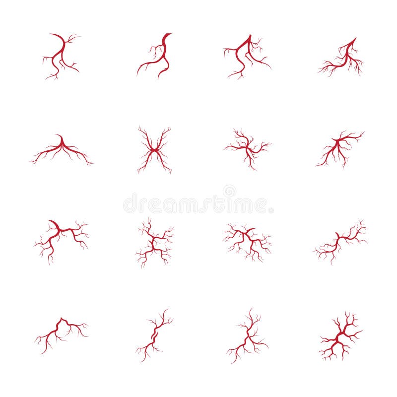 Human Veins, Red Blood Vessels Design and Arteries Vector Illustration ...