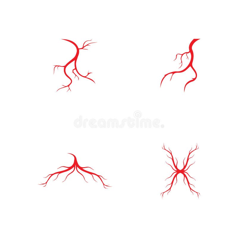 Human Veins, Red Blood Vessels Design and Arteries Vector Illustration ...