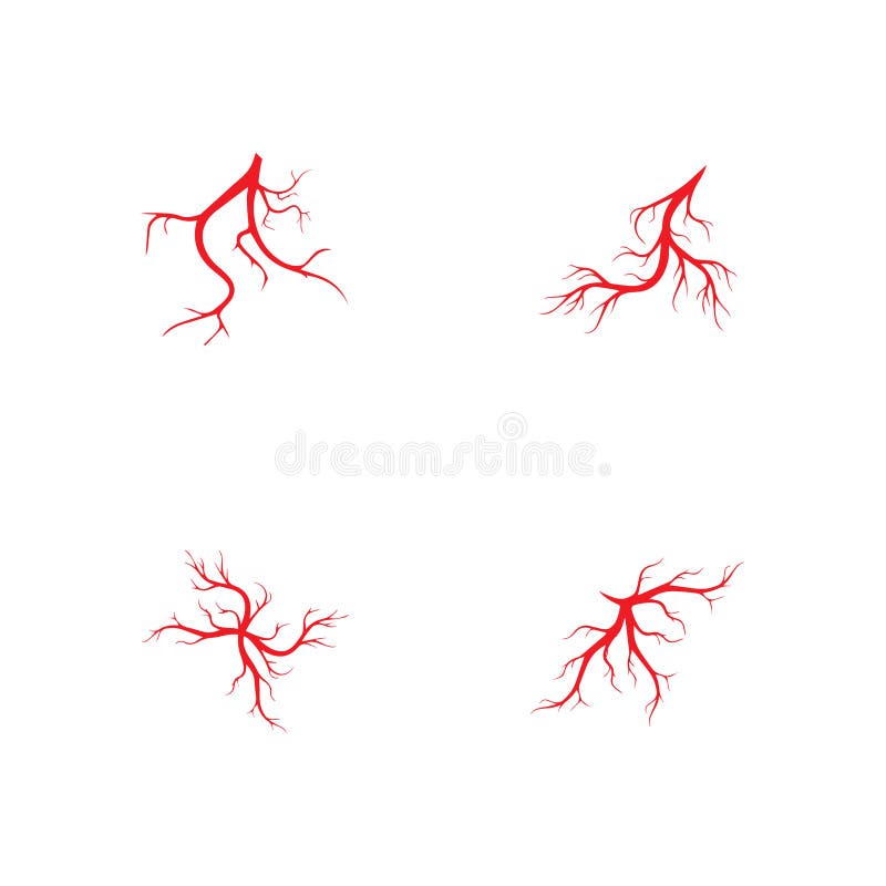 Human Veins, Red Blood Vessels Design and Arteries Vector Illustration ...