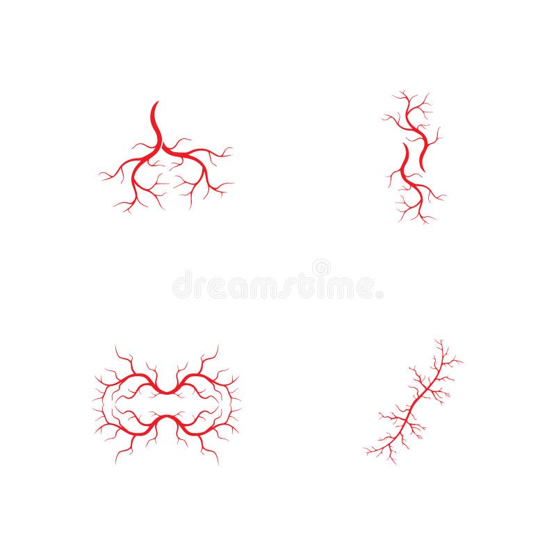 Human Veins, Red Blood Vessels Design and Arteries Vector Illustration ...