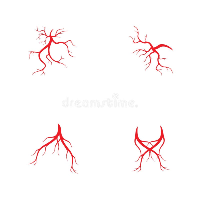 Human Veins, Red Blood Vessels Design and Arteries Vector Illustration ...