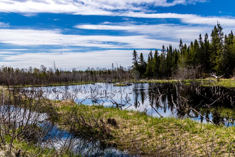 The Humber River Wanders through the Park. Sir Richard Squires