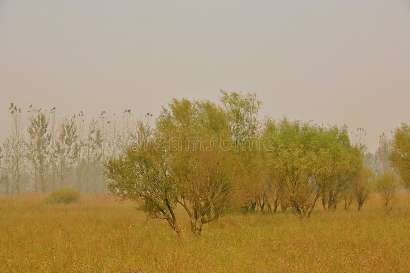 Lingbao wetland is located two kilometers north of Lingbao high speed rail station. Wetland is an ecological system with a variety of unique functions on the earth. It not only provides a large amount of food, raw materials and water resources for human beings, but also maintains ecological balance, conservation of biodiversity and rare species resources, and conservation of water source, flood control and drought control, degradation of pollution to regulate climate, supplement of groundwater, control soil erosion and so on. The surface plays an important role. Therefore, wetlands are praised as &#x22;kidney of the earth&#x22; and &#x22;natural reservoir&#x22; by experts. Lingbao wetland is located two kilometers north of Lingbao high speed rail station. Wetland is an ecological system with a variety of unique functions on the earth. It not only provides a large amount of food, raw materials and water resources for human beings, but also maintains ecological balance, conservation of biodiversity and rare species resources, and conservation of water source, flood control and drought control, degradation of pollution to regulate climate, supplement of groundwater, control soil erosion and so on. The surface plays an important role. Therefore, wetlands are praised as &#x22;kidney of the earth&#x22; and &#x22;natural reservoir&#x22; by experts.