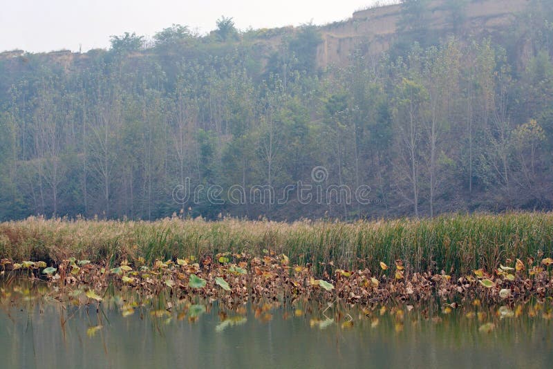 Lingbao wetland is located two kilometers north of Lingbao high speed rail station. Wetland is an ecological system with a variety of unique functions on the earth. It not only provides a large amount of food, raw materials and water resources for human beings, but also maintains ecological balance, conservation of biodiversity and rare species resources, and conservation of water source, flood control and drought control, degradation of pollution to regulate climate, supplement of groundwater, control soil erosion and so on. The surface plays an important role. Therefore, wetlands are praised as &#x22;kidney of the earth&#x22; and &#x22;natural reservoir&#x22; by experts. Lingbao wetland is located two kilometers north of Lingbao high speed rail station. Wetland is an ecological system with a variety of unique functions on the earth. It not only provides a large amount of food, raw materials and water resources for human beings, but also maintains ecological balance, conservation of biodiversity and rare species resources, and conservation of water source, flood control and drought control, degradation of pollution to regulate climate, supplement of groundwater, control soil erosion and so on. The surface plays an important role. Therefore, wetlands are praised as &#x22;kidney of the earth&#x22; and &#x22;natural reservoir&#x22; by experts.