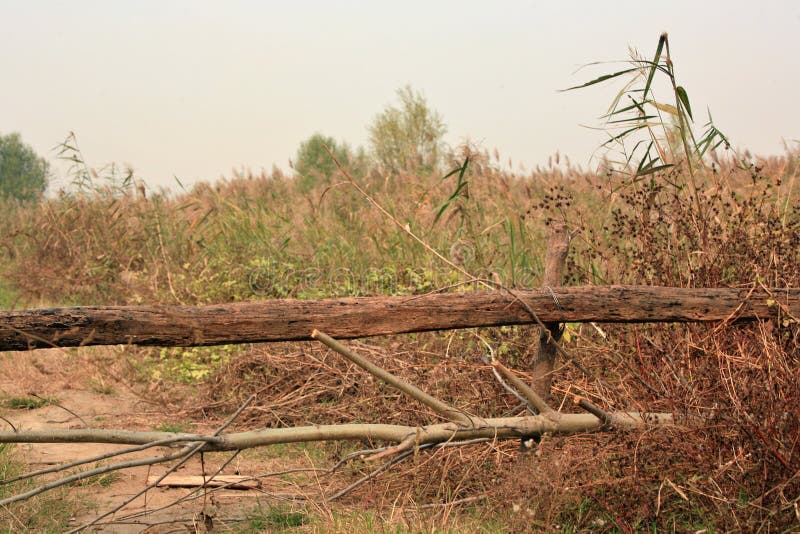 Lingbao wetland is located two kilometers north of Lingbao high speed rail station. Wetland is an ecological system with a variety of unique functions on the earth. It not only provides a large amount of food, raw materials and water resources for human beings, but also maintains ecological balance, conservation of biodiversity and rare species resources, and conservation of water source, flood control and drought control, degradation of pollution to regulate climate, supplement of groundwater, control soil erosion and so on. The surface plays an important role. Therefore, wetlands are praised as & x22;kidney of the earth& x22; and & x22;natural reservoir& x22; by experts. Lingbao wetland is located two kilometers north of Lingbao high speed rail station. Wetland is an ecological system with a variety of unique functions on the earth. It not only provides a large amount of food, raw materials and water resources for human beings, but also maintains ecological balance, conservation of biodiversity and rare species resources, and conservation of water source, flood control and drought control, degradation of pollution to regulate climate, supplement of groundwater, control soil erosion and so on. The surface plays an important role. Therefore, wetlands are praised as & x22;kidney of the earth& x22; and & x22;natural reservoir& x22; by experts.